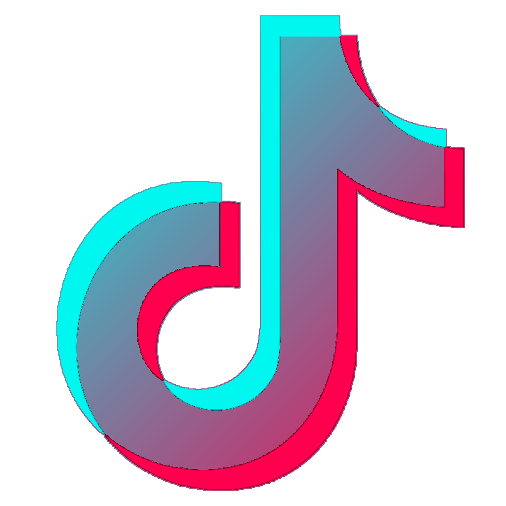 TikTok icon